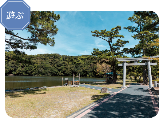 桜ヶ池の写真 桜ヶ池の写真
