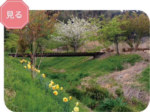 里山自然公園散歩道福田沢の写真 里山自然公園散歩道福田沢の写真